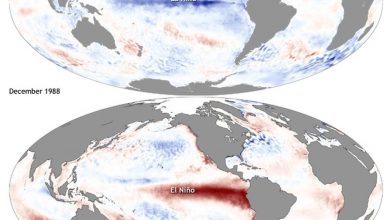 Imagem com as diferenças de temperatura entre o La Niña (dezembro de 1998) e o El Niño (dezembro de 1997)